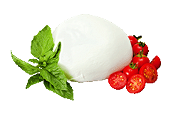   BURRATA